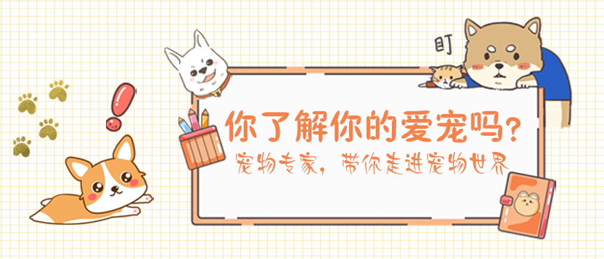 大漢篩分設(shè)備一應(yīng)俱全,解決您所有的生產(chǎn)難題