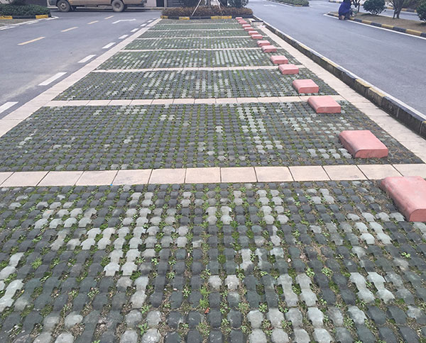 植草磚案例